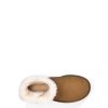 Kobieta UGG Botki klasyczne | Mini Bailey Button II, Ugg kasztan